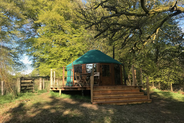 Elder Yurt