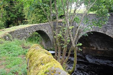 Bridge over the river